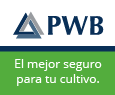 PWB - Anunciante Oro